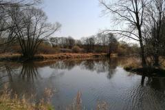 IMG_20200413_100413