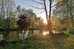 IMG_20200507_193820
